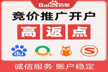 成功SEM代理案例：精准投放的策略